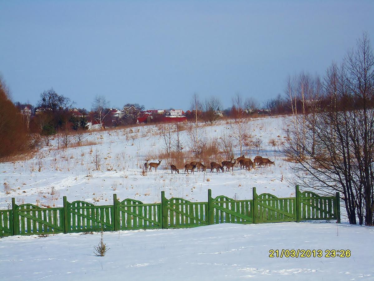 Bed & Breakfast Mazurska Chata Jezioro I Aquapark 6 Min, Centrum I Promenada 12 Min